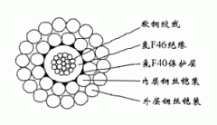 FL-WGSF46-8.00mm防硫型單芯氟塑料雙鋼絲鎧裝承荷探測電纜