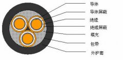 3*2.5，3*3，3*4，3*6，3*10，3*16，3*25屏蔽電纜結(jié)構(gòu)圖