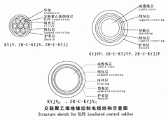 KYJV，KYJVP，KYJV22額定電壓0.6/1kV交聯(lián)聚乙烯絕緣控制電纜